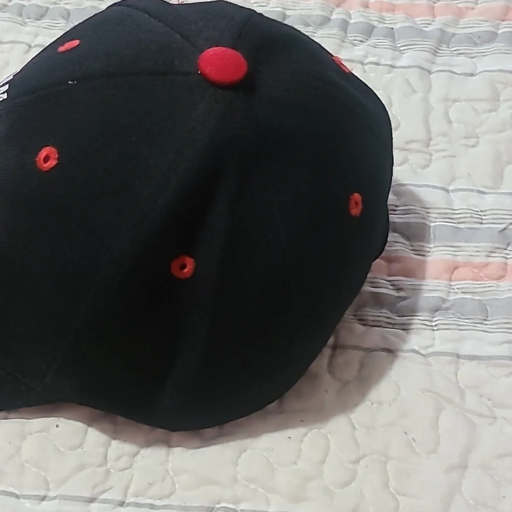 Dale Earnhardt Ball Cap - Picture 4 of 8
